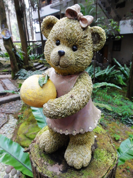 DSC04783.JPG