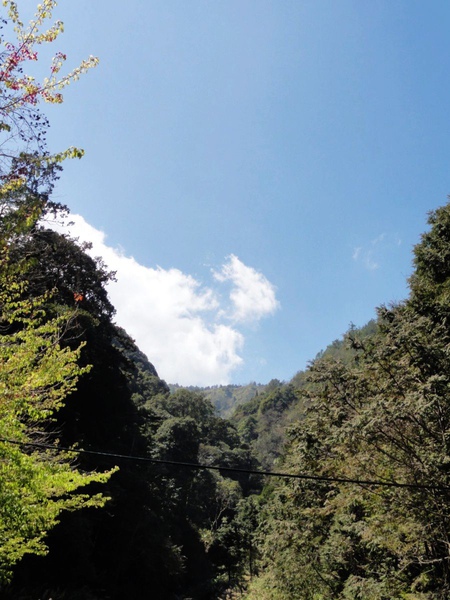 DSC04596.JPG