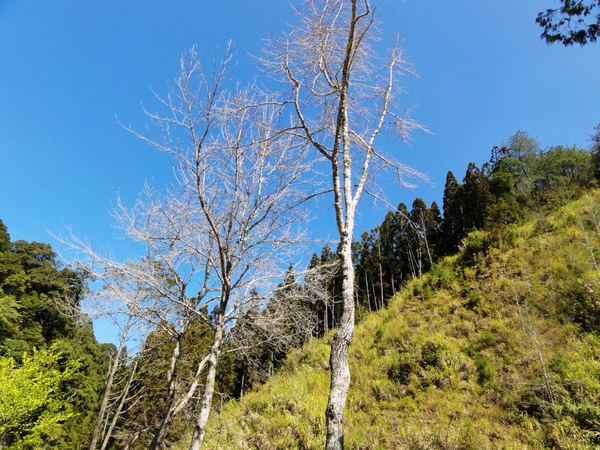 DSC04483.JPG