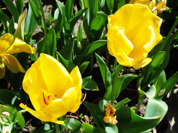DSC04480.JPG