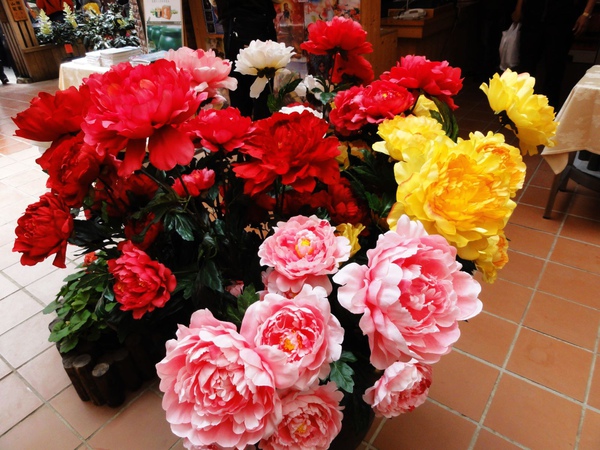 DSC04655.JPG