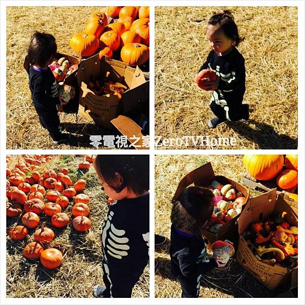 PhotoGrid_1423788286493 PhotoGrid_1423788286493