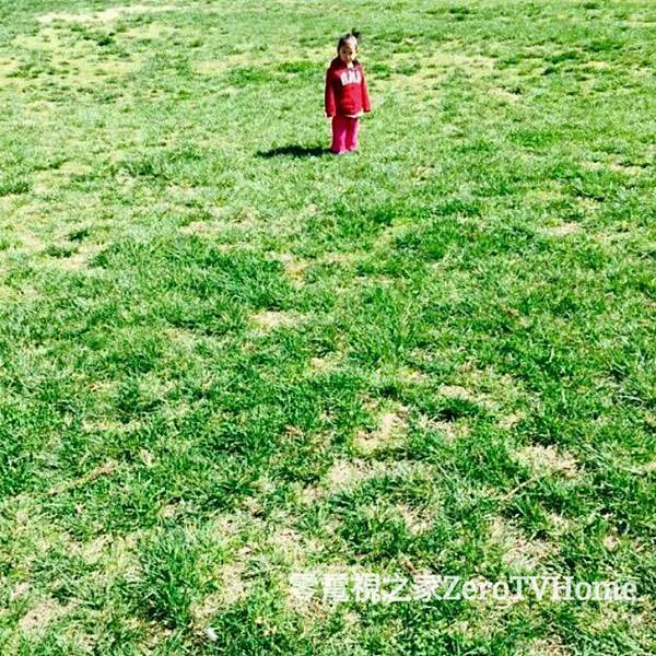PhotoGrid_1427849688221 PhotoGrid_1427849688221