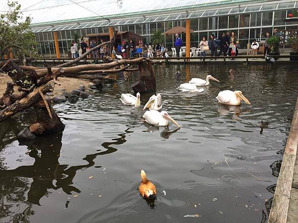 IMG_6410.JPG IMG_6410.JPG