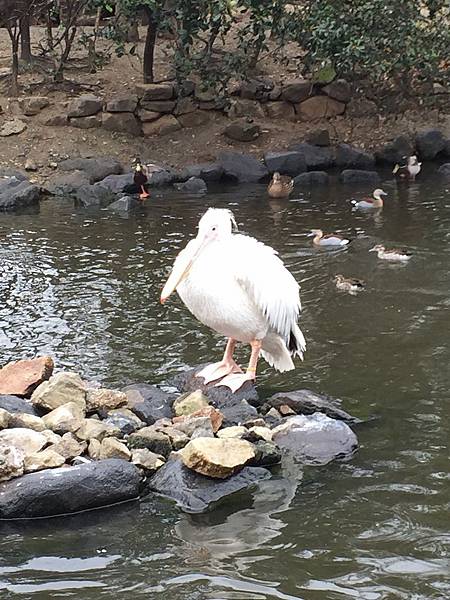 IMG_6411.JPG IMG_6411.JPG