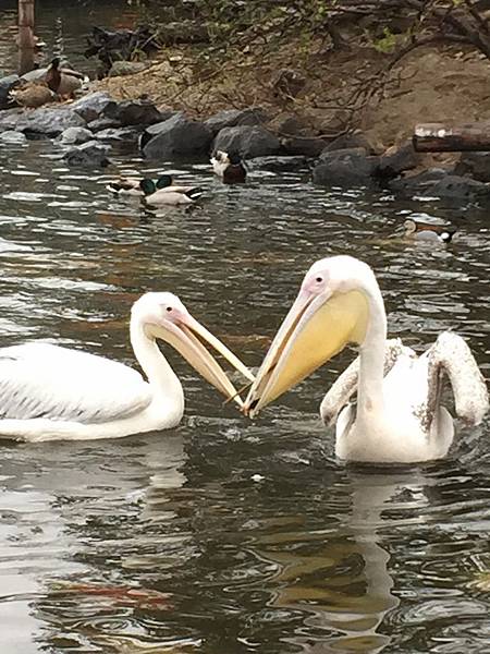 IMG_6413.JPG IMG_6413.JPG