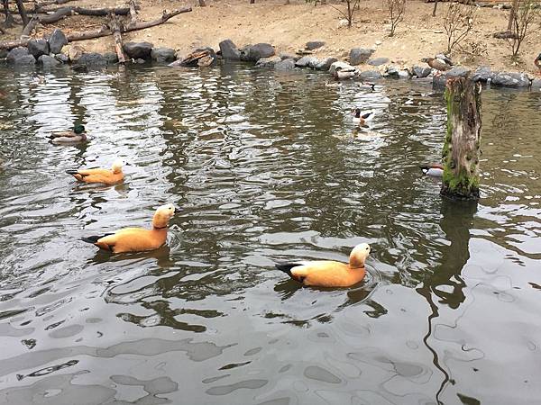 IMG_6414.JPG IMG_6414.JPG