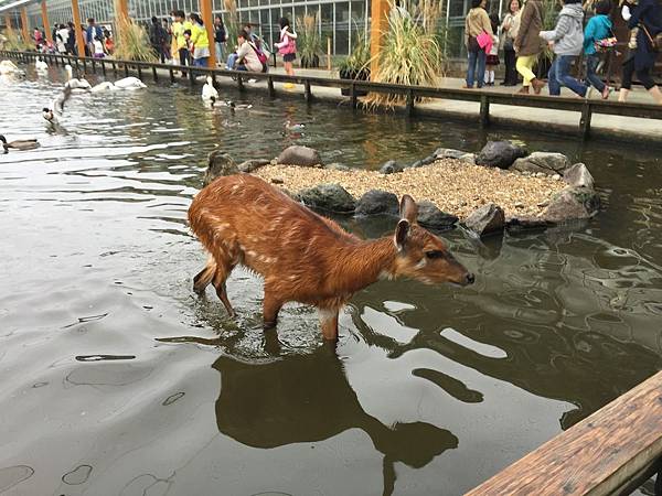 IMG_6416.JPG IMG_6416.JPG