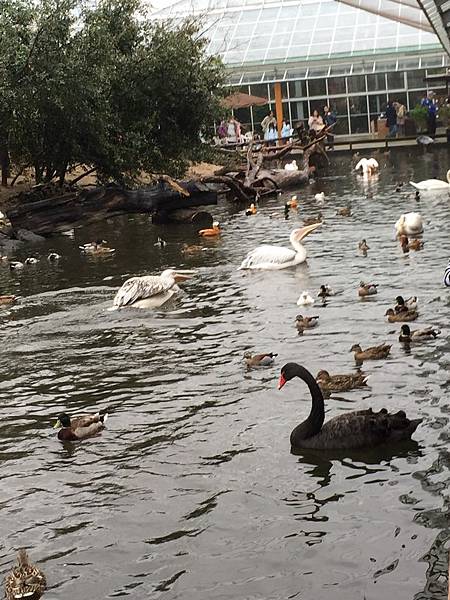 IMG_6415.JPG IMG_6415.JPG