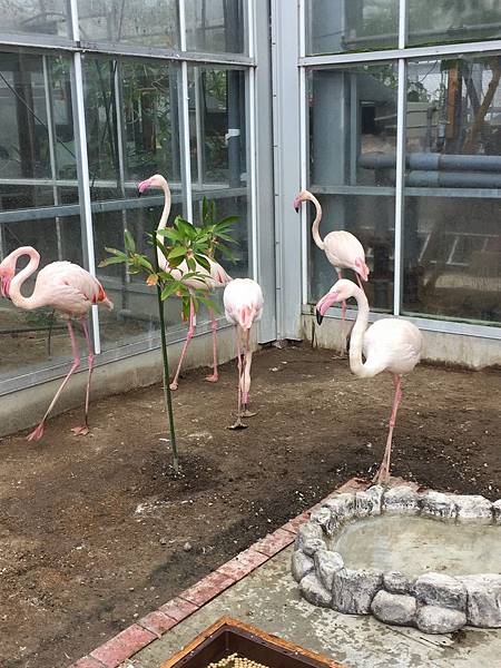 IMG_6417.JPG IMG_6417.JPG