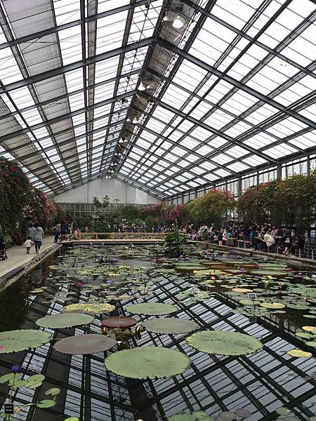 IMG_6420.JPG IMG_6420.JPG