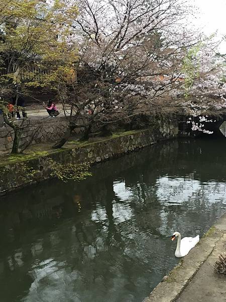 IMG_6436.JPG IMG_6436.JPG