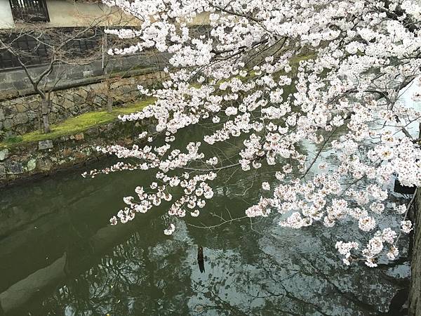 IMG_6467.JPG IMG_6467.JPG