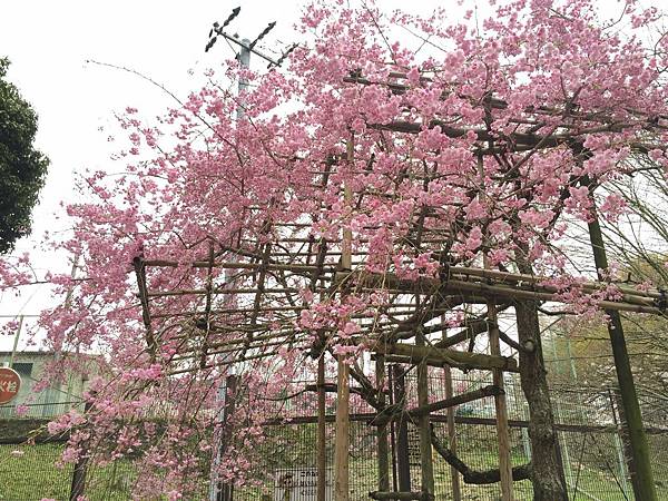 IMG_6932.JPG IMG_6932.JPG