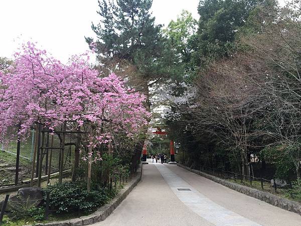 IMG_6934.JPG IMG_6934.JPG