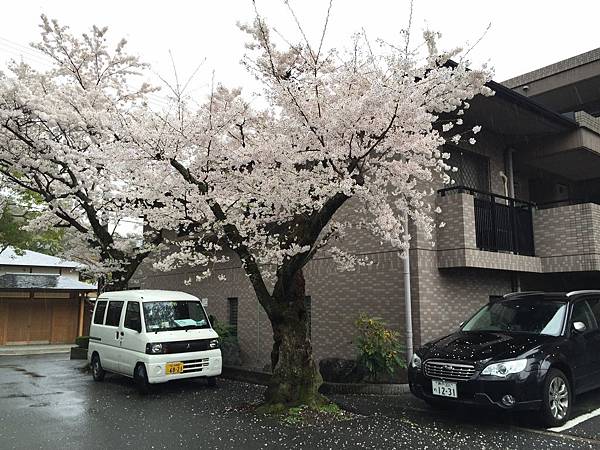 IMG_6962.JPG IMG_6962.JPG