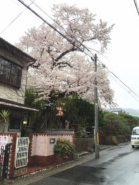 IMG_6963.JPG IMG_6963.JPG