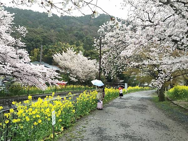 IMG_6966.JPG IMG_6966.JPG