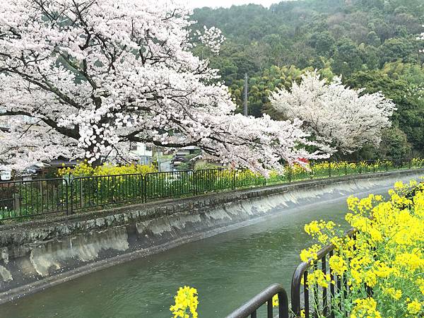 IMG_6967.JPG IMG_6967.JPG