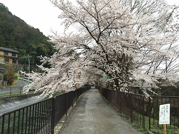 IMG_6975.JPG IMG_6975.JPG