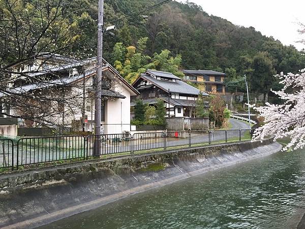 IMG_6976.JPG IMG_6976.JPG