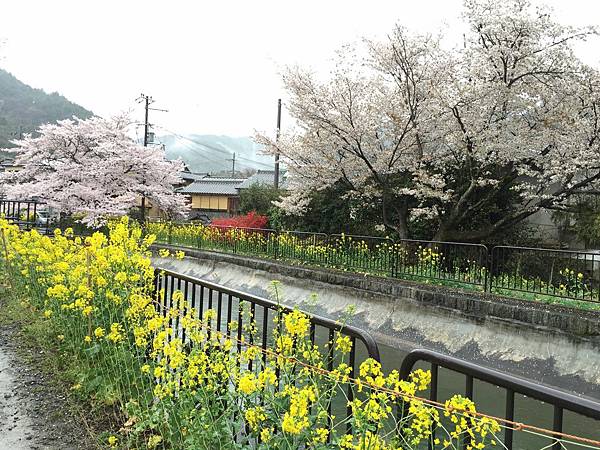 IMG_6978.JPG IMG_6978.JPG