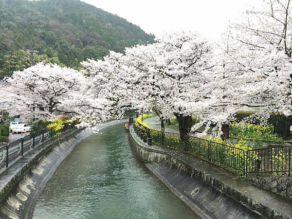 IMG_6979.JPG IMG_6979.JPG