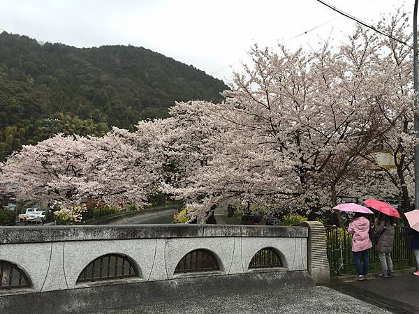 IMG_6981.JPG IMG_6981.JPG