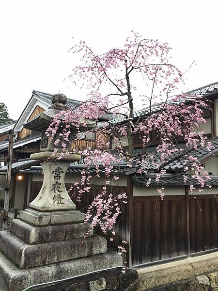 IMG_6990.JPG IMG_6990.JPG