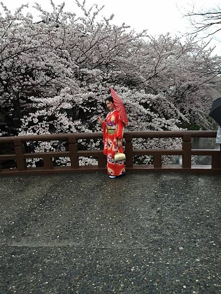 IMG_6991.JPG IMG_6991.JPG