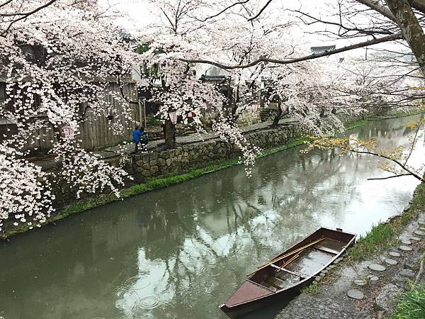 IMG_6992.JPG IMG_6992.JPG