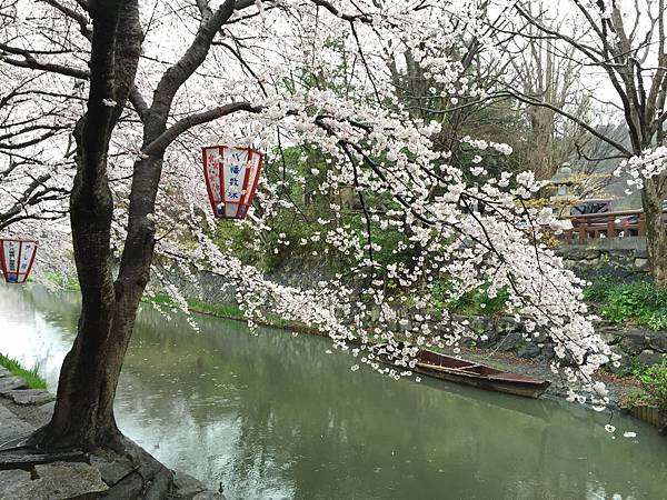 IMG_6993.JPG IMG_6993.JPG