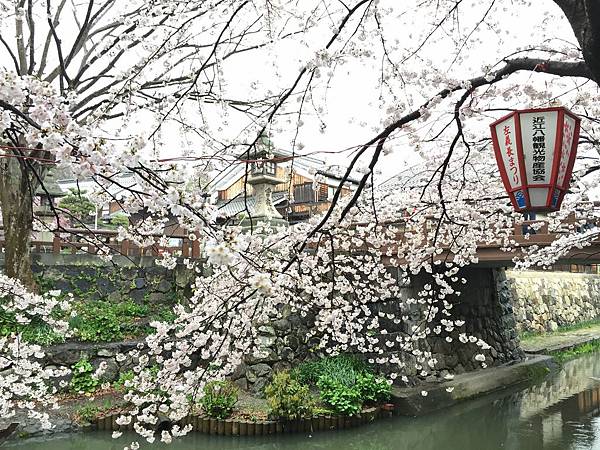 IMG_6994.JPG IMG_6994.JPG