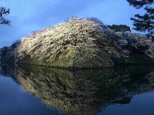 IMG_7037.JPG IMG_7037.JPG