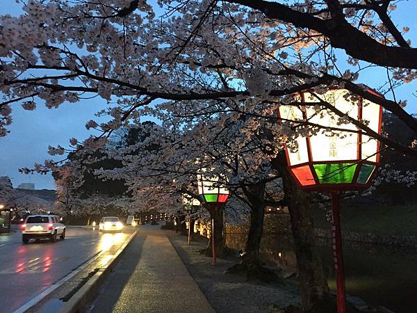 IMG_7041.JPG IMG_7041.JPG