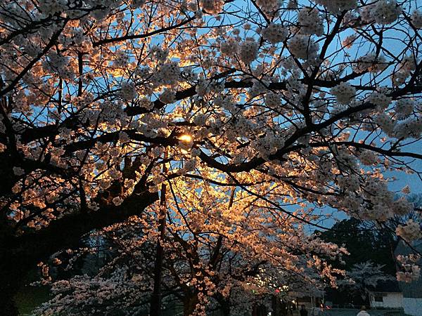 IMG_7045.JPG IMG_7045.JPG