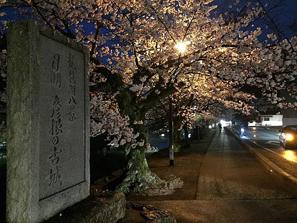 IMG_7051.JPG IMG_7051.JPG