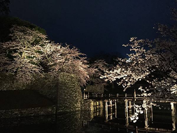 IMG_7052.JPG IMG_7052.JPG