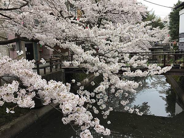 IMG_7172.JPG IMG_7172.JPG