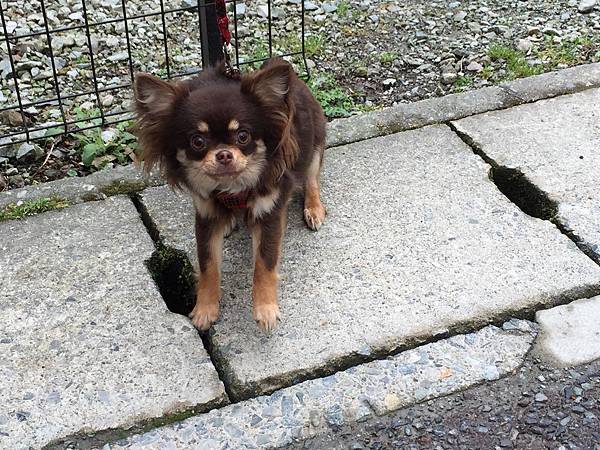 IMG_7175.JPG IMG_7175.JPG