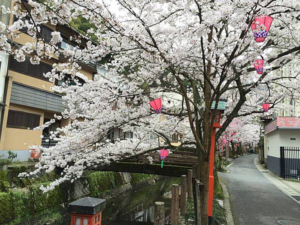 IMG_7180.JPG IMG_7180.JPG