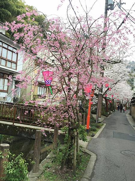 IMG_7181.JPG IMG_7181.JPG