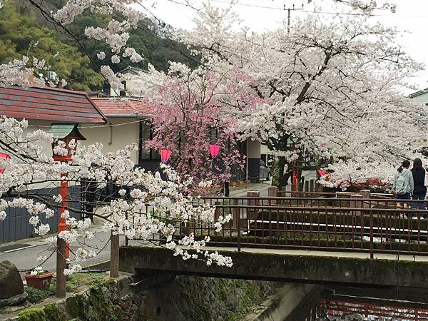 IMG_7183.JPG IMG_7183.JPG