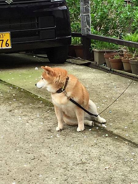 IMG_7184.JPG IMG_7184.JPG