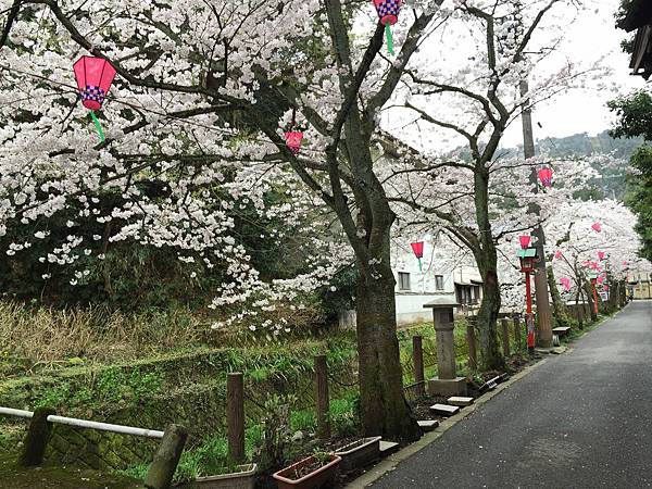 IMG_7188.JPG IMG_7188.JPG