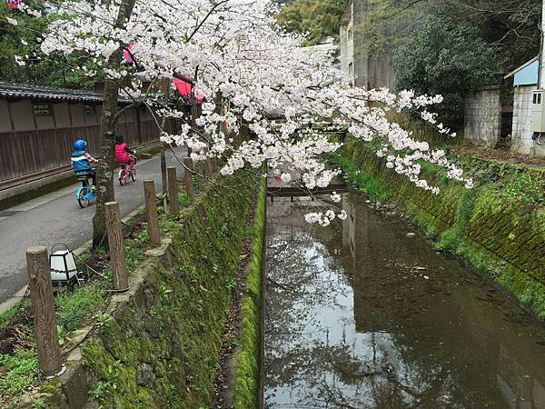 IMG_7191.JPG IMG_7191.JPG