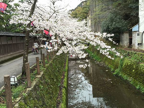 IMG_7192.JPG IMG_7192.JPG