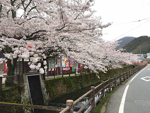 IMG_7197.JPG IMG_7197.JPG