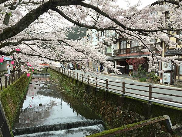 IMG_7198.JPG IMG_7198.JPG