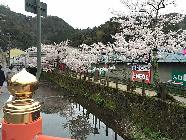 IMG_7203.JPG IMG_7203.JPG